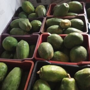 green papaya