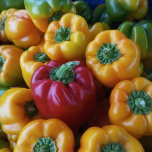Bell-Pepper All Colors
