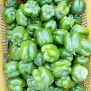 Green Bell Peppers